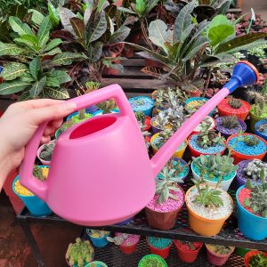 Regadera cactus 2L ECO