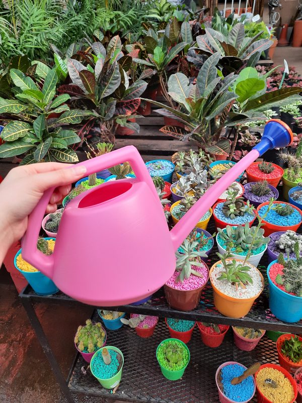 Regadera cactus 2L ECO