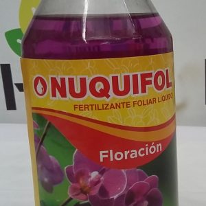Nuquifol Floración
