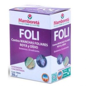 Mamboreta Foli