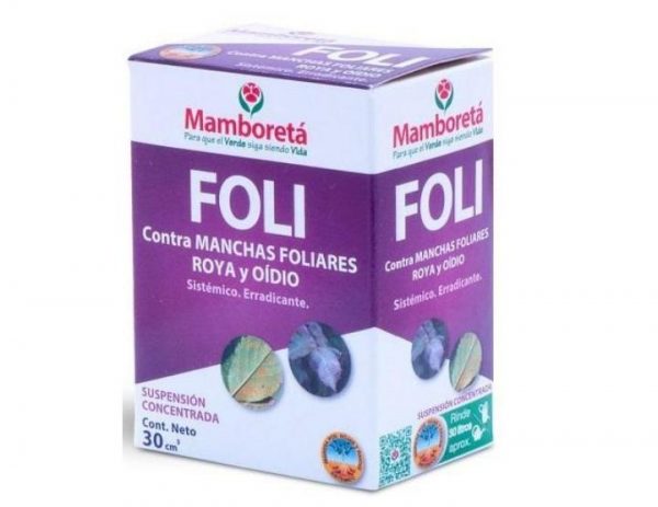 Mamboreta Foli