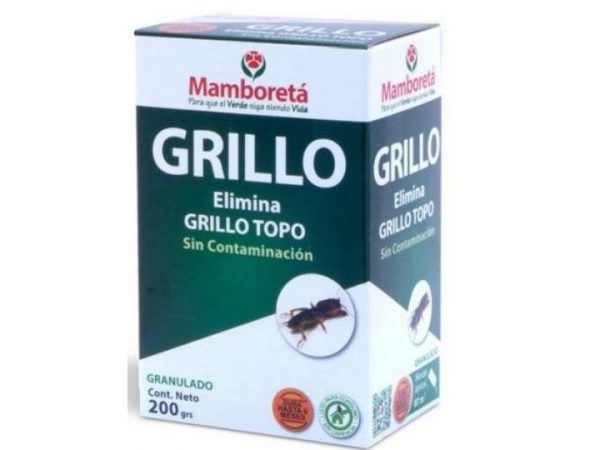 Mamboreta Grillo topo