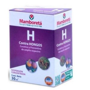 Mamboreta H