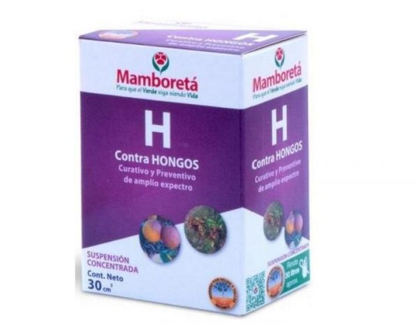 Mamboreta H