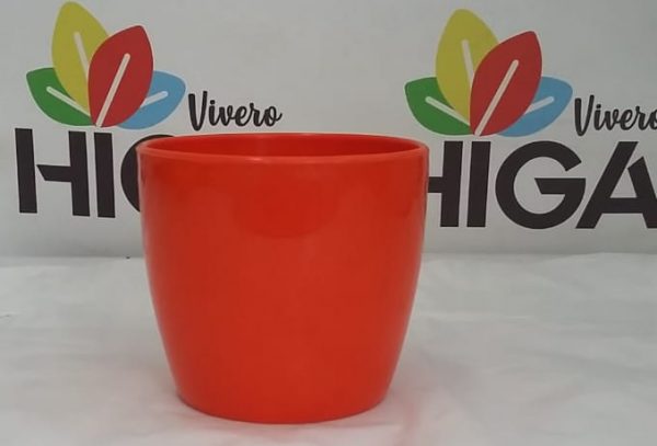 Premium Redonda TA - Imagen 4