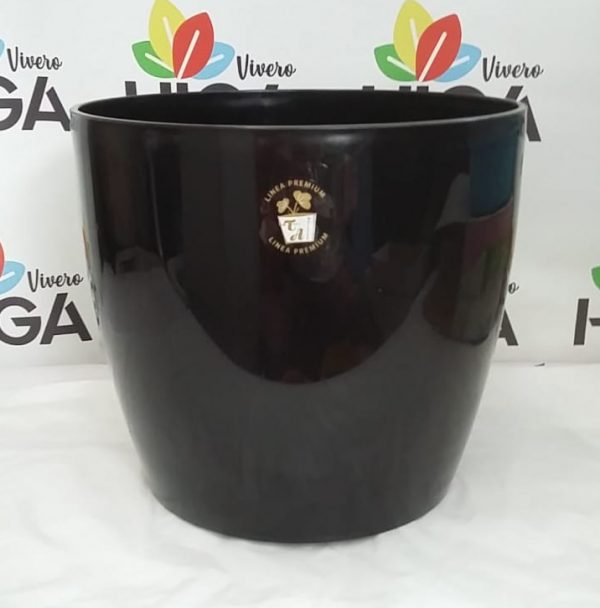 Premium Redonda TA - Imagen 2