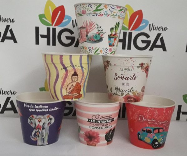 Maceta Estampada 10 y 11 - Imagen 2