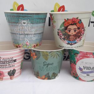 Maceta Estampada 16