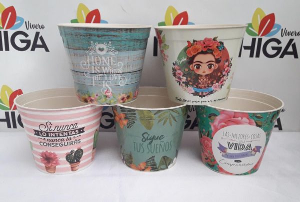 Maceta Estampada 16