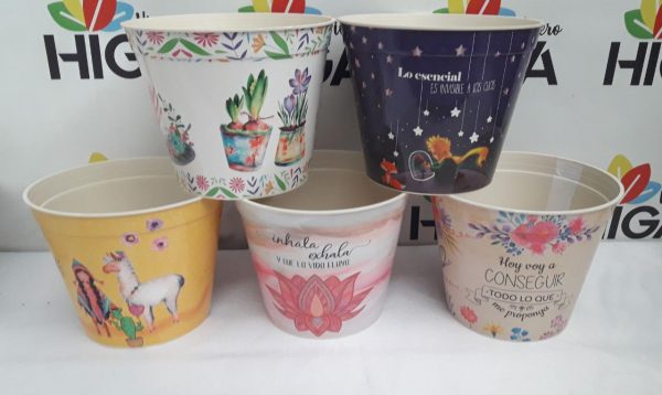 Maceta Estampada 16 - Imagen 2