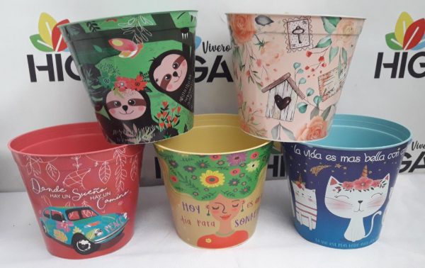 Maceta Estampada 18 - Imagen 3