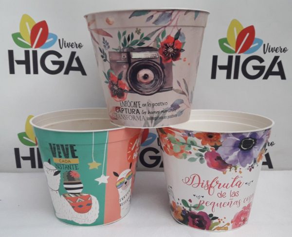 Maceta Estampada 18 - Imagen 2