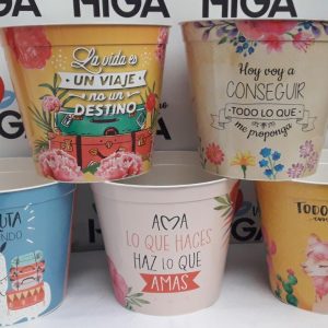 Maceta Estampada 21