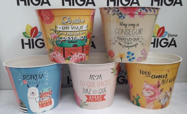 Maceta Estampada 21