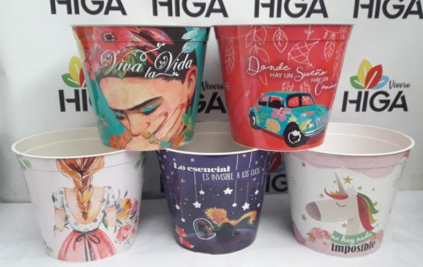 Maceta Estampada 21 - Imagen 2