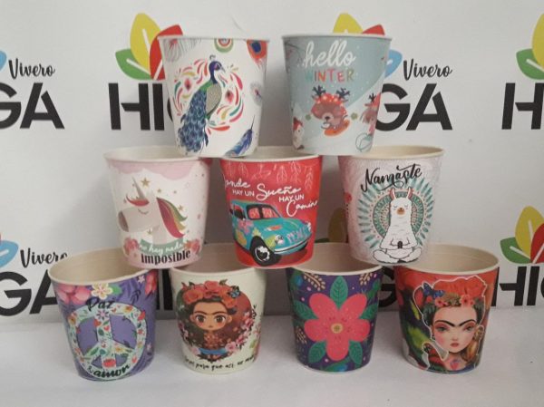 Maceta Estampada 8 - Imagen 2