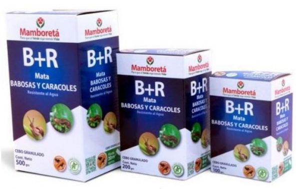 Mamboreta B+R