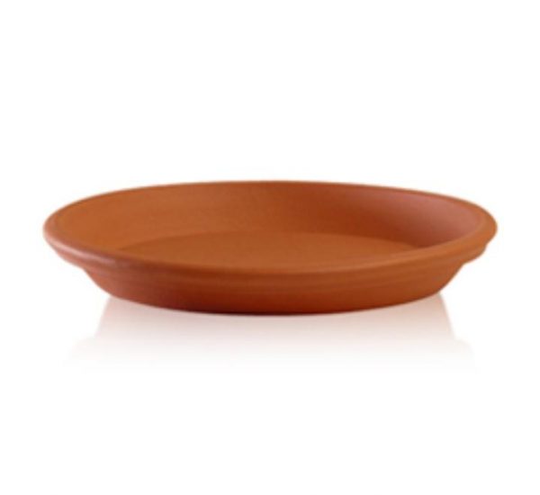 Platos de Terracota