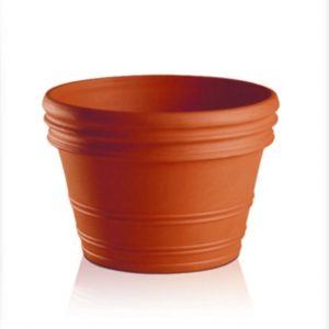 Vaso Antiguo