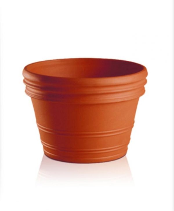 Vaso Antiguo