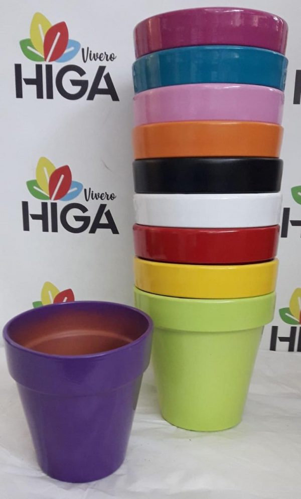 Pintada Común