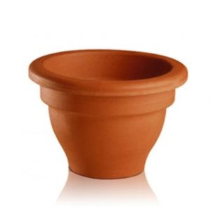 Campana