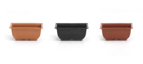 Maceta Bonsái plástica rectangular