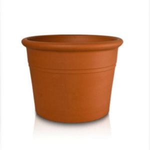 Terracota