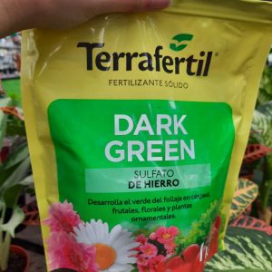 1Kg. Dark Green