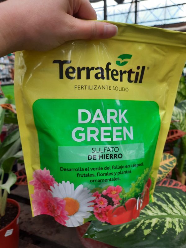 1Kg. Dark Green