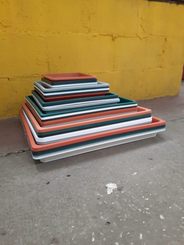Platos Cuadrados