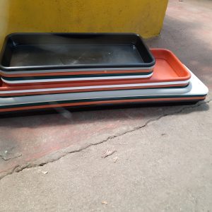 Plato Jardinera Matri
