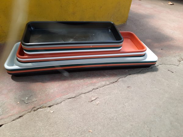 Plato Jardinera Matri