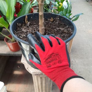 Guante Jardinería Randon