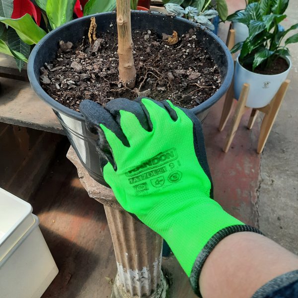 Guante de Jardinería Para Cactus Randon - Imagen 2
