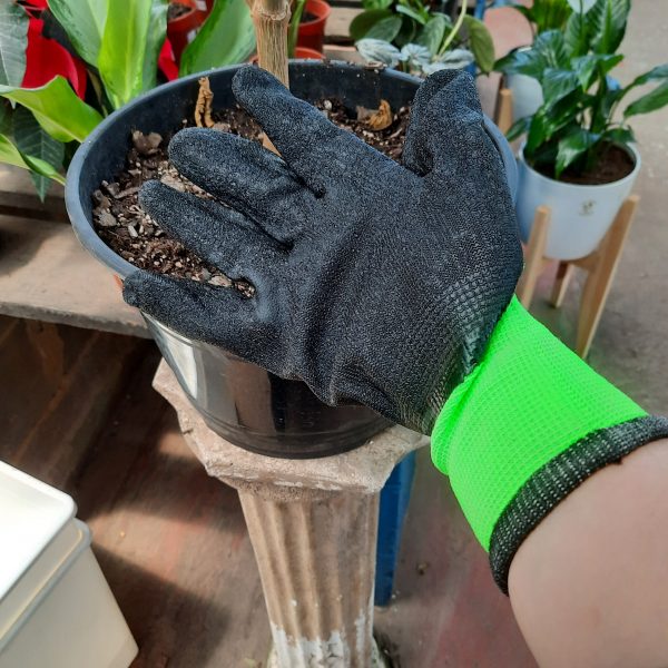 Guante de Jardinería Para Cactus Randon - Imagen 3