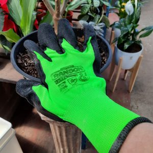 Guantes
