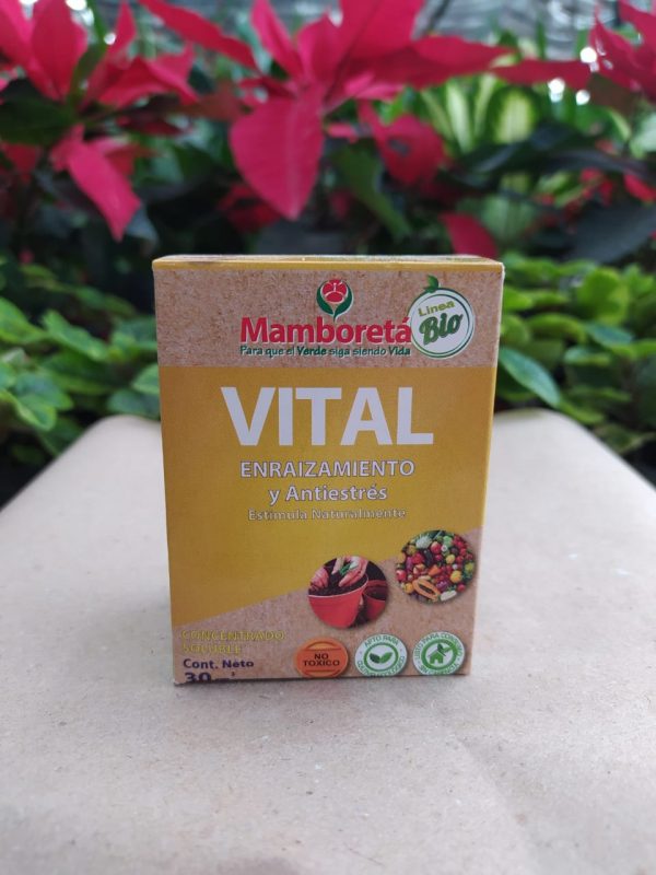 Mamboretá Vital