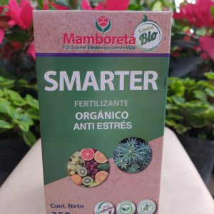 Mamboretá Smarter
