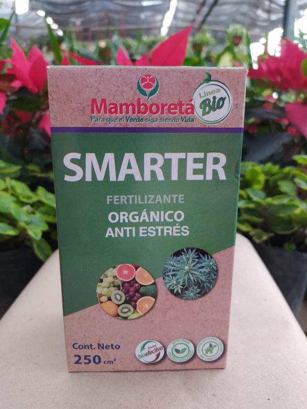 Mamboretá Smarter