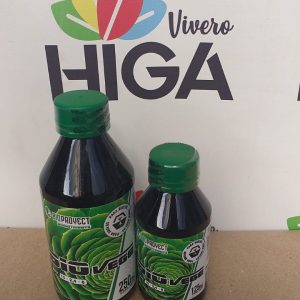 BioProyect Bio Vege