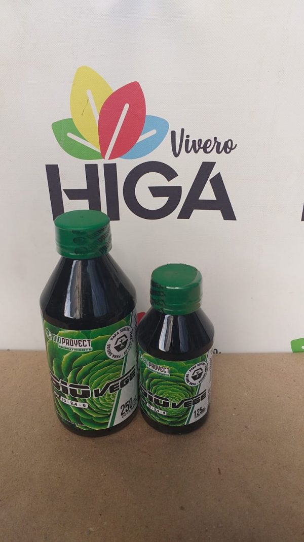 BioProyect Bio Vege