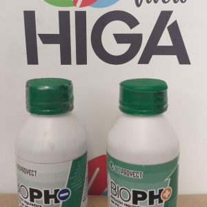 BioProyect BioPH