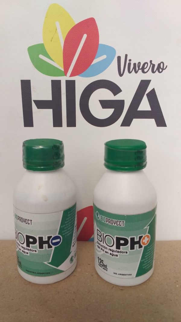 BioProyect BioPH