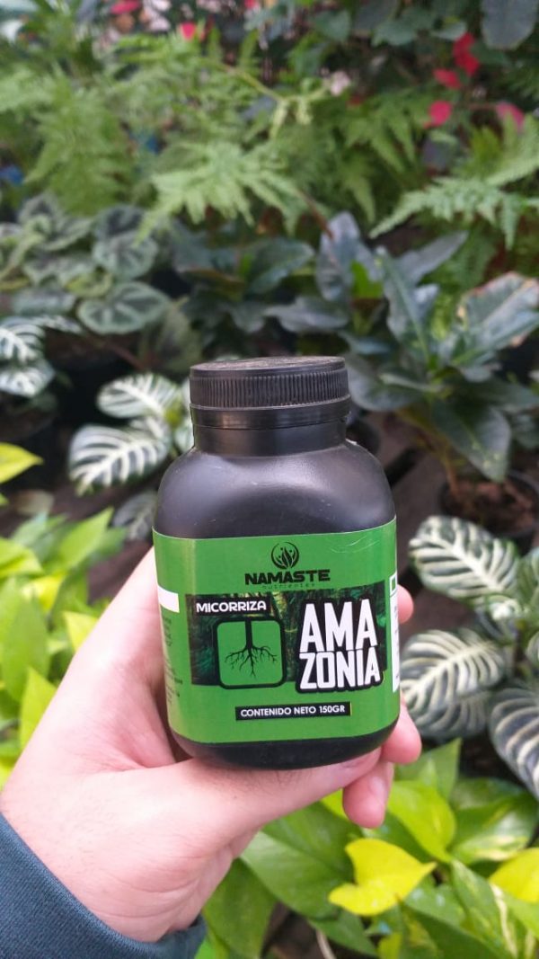 Namaste Amazonia Roots