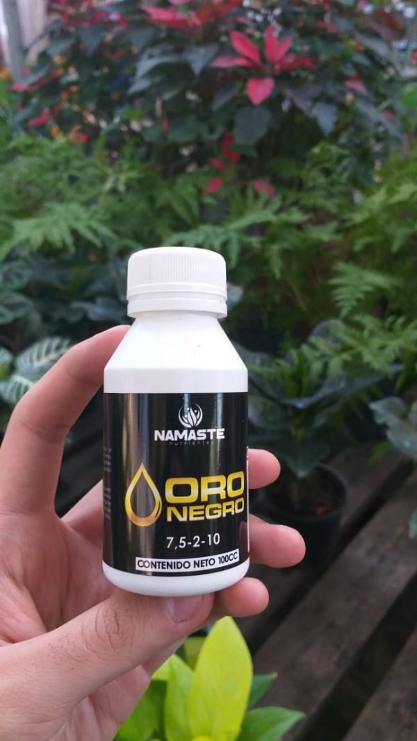 Namaste Oro Negro