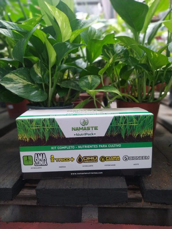 Namaste NutriPack x 6