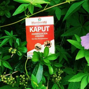 Mamboretá Kaput