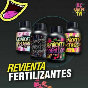 Revienta