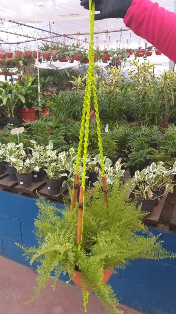 Colgante de Soga con Caña - Imagen 3